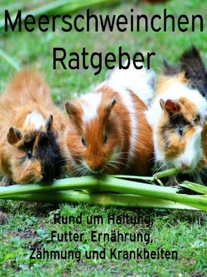 cover image of Meerschweinchen Ratgeber.